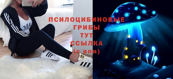мдма Гусиноозёрск