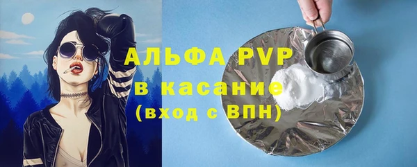 дурь Гусев
