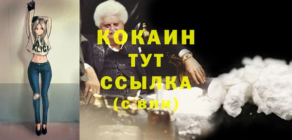 дурь Гусев