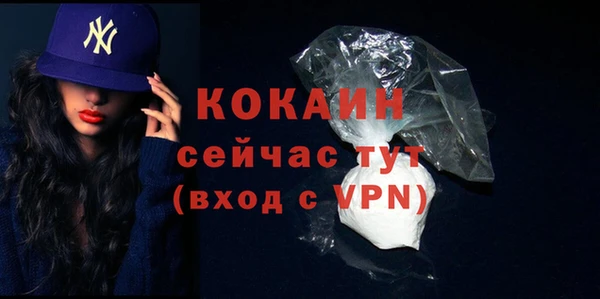 дурь Гусев