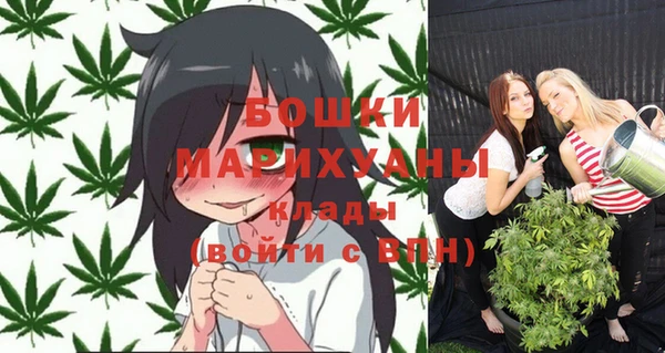 дурь Гусев